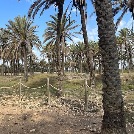 Despertar En Torrevieja Βίλα Εξωτερικό φωτογραφία