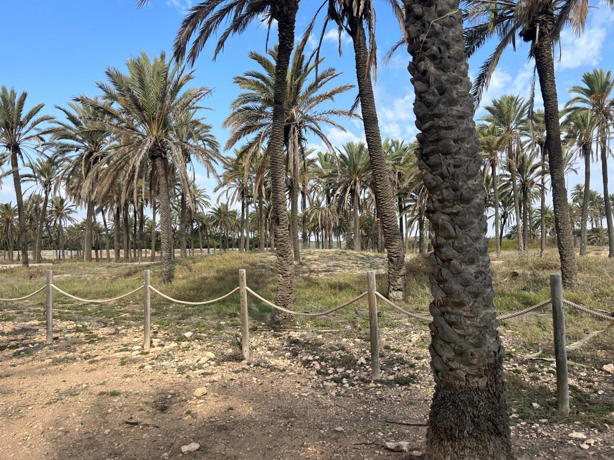 Despertar En Torrevieja Βίλα Εξωτερικό φωτογραφία